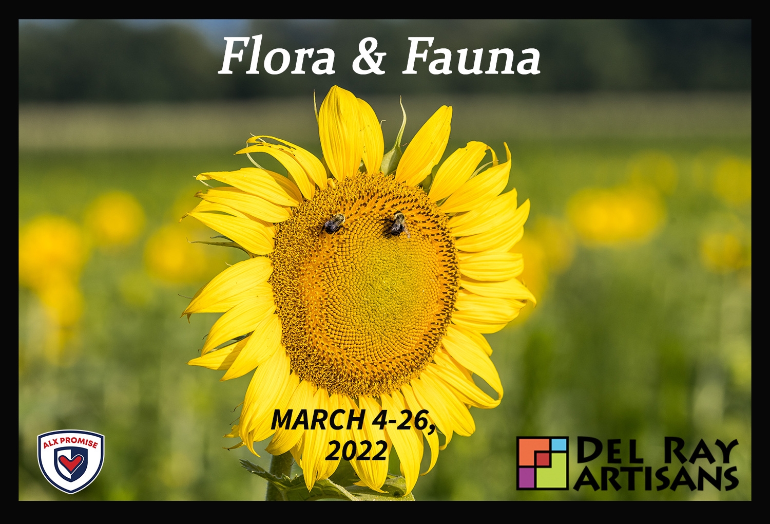 Flora & Fauna Art Exhibit at Del Ray Artisans
